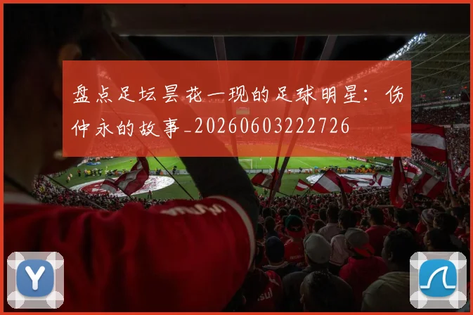 盘点足坛昙花一现的足球明星:伤仲永的故事_20260603222726