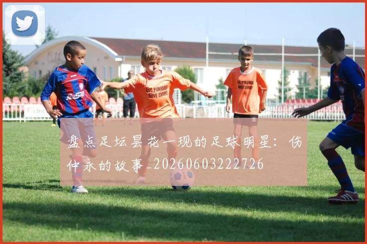 盘点足坛昙花一现的足球明星:伤仲永的故事_20260603222726
